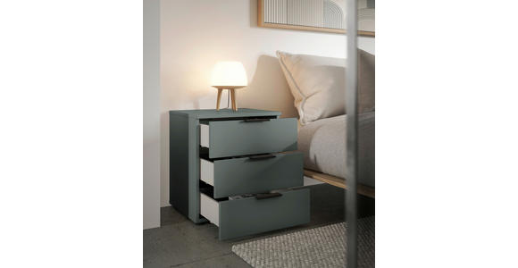 NACHTSCHRANK 45/61/40 cm - Salbeigrün/Schwarz, Basics, Holzwerkstoff/Kunststoff (45/61/40cm) - Carryhome
