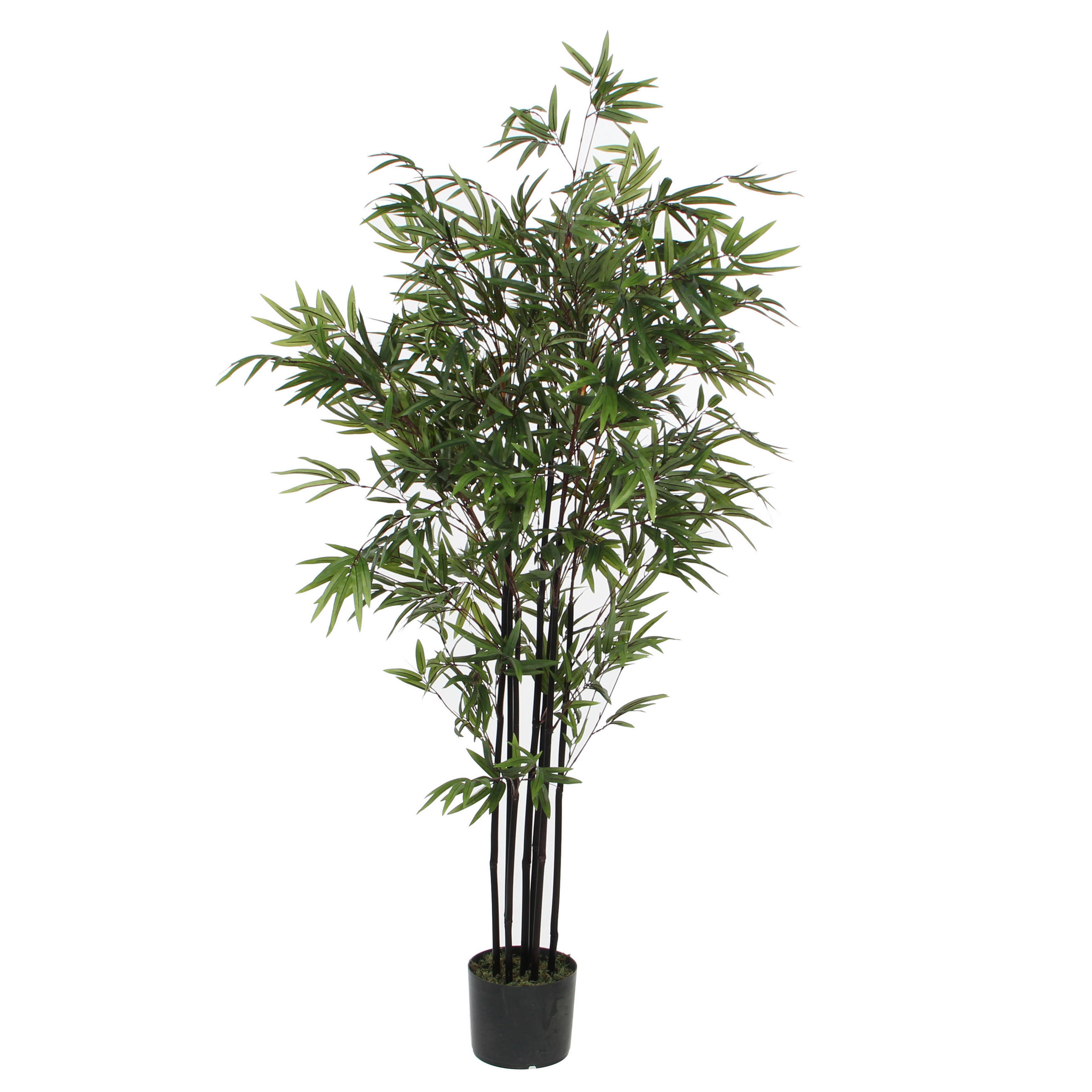 BAMBUS  - zelena, Basics, plastika (95/150cm)