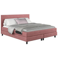 BOXBETT 160/200 cm  in Rosa  - Schwarz/Rosa, Modern, Holzwerkstoff/Textil (160/200cm) - MID.YOU