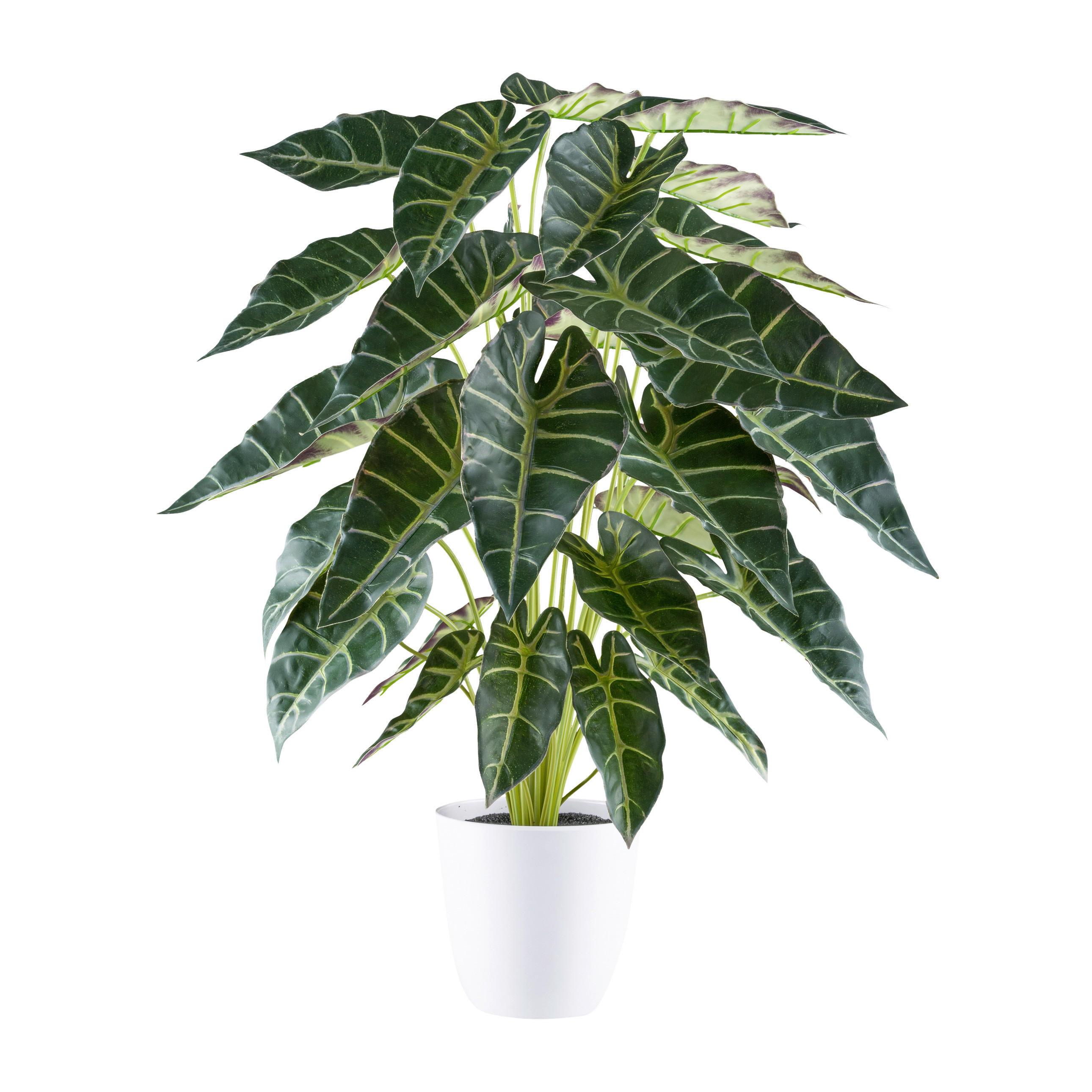 KUNSTPFLANZE 68 cm  - Weiß/Grün, Design, Kunststoff (68cm) - P & B