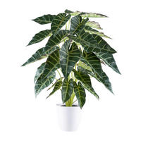 KUNSTPFLANZE 68 cm  - Weiß/Grün, Design, Kunststoff (68cm) - P & B