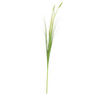 UMELÁ RASTLINA 120 cm - biela/zelená, Basics, kov/plast (120cm) - Ambia Home