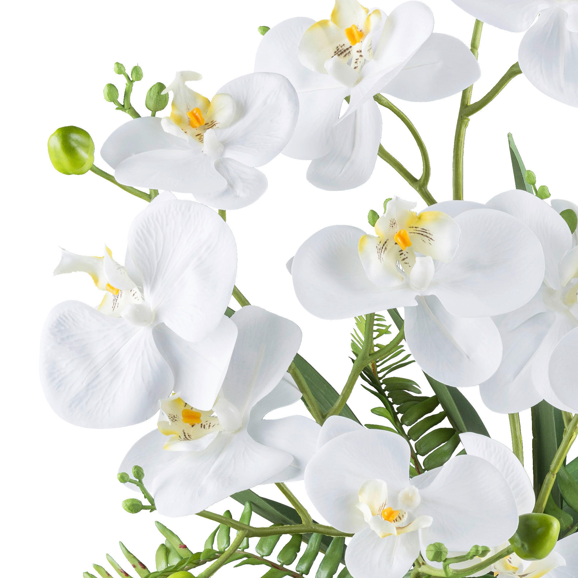 KUNSTPFLANZE Orchidee 55 cm  - Weiß/Grün, Design, Keramik/Kunststoff (55cm) - P & B