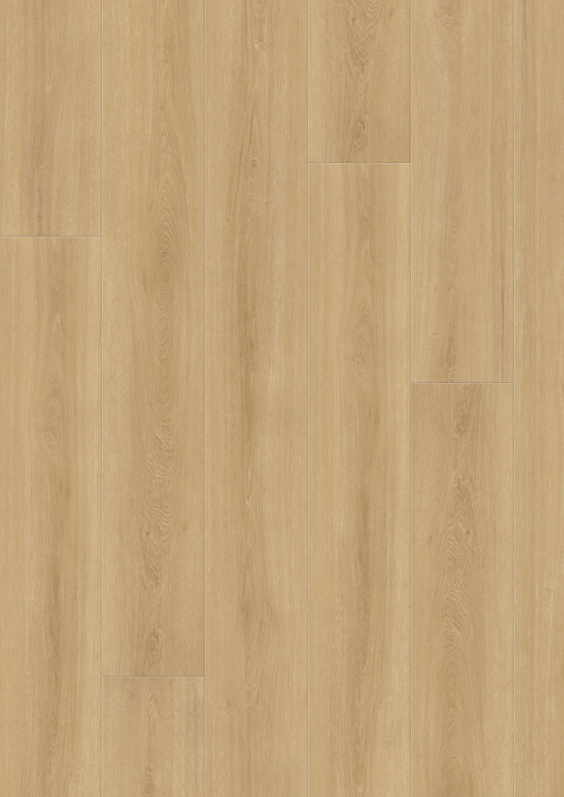 VINYLBODEN EICHE NATUR!PUR 100066101  - KONVENTIONELL, Holz (220/21,6/1cm) - Tilo