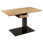 COUCHTISCH in Holz, Metall, Holzwerkstoff 100/60/49-67 cm  - Wildeiche/Anthrazit, Design, Holz/Holzwerkstoff (100/60/49-67cm) - Novel