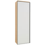 GARDEROBENSCHRANK  in 54/170/31 cm  - Eichefarben/Anthrazit, Design, Glas/Holz (54/170/31cm) - Dieter Knoll