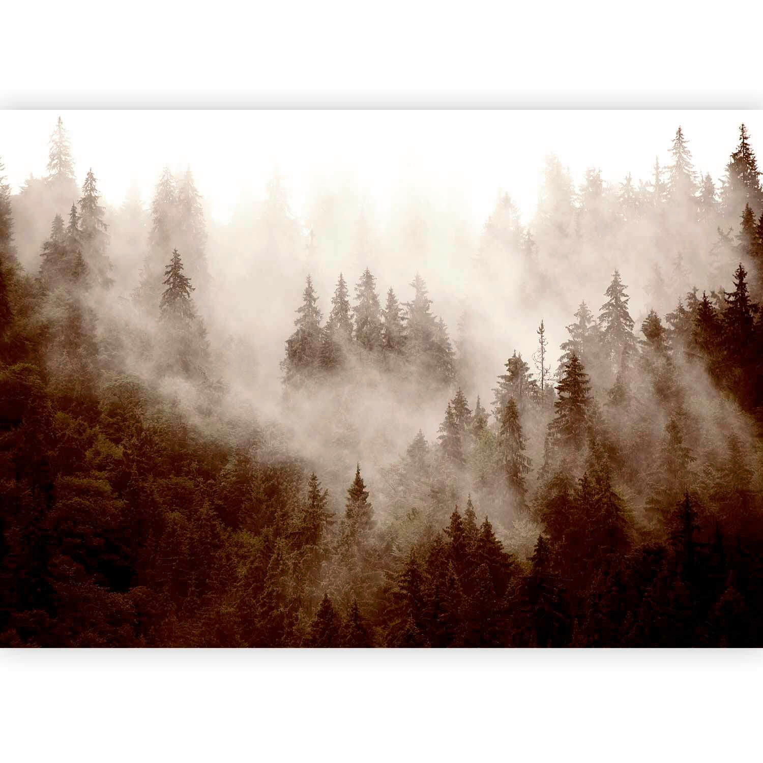 FOTOTAPET 150/105 cm  - brun/grå, Lifestyle, textil (150/105cm) - artgeist
