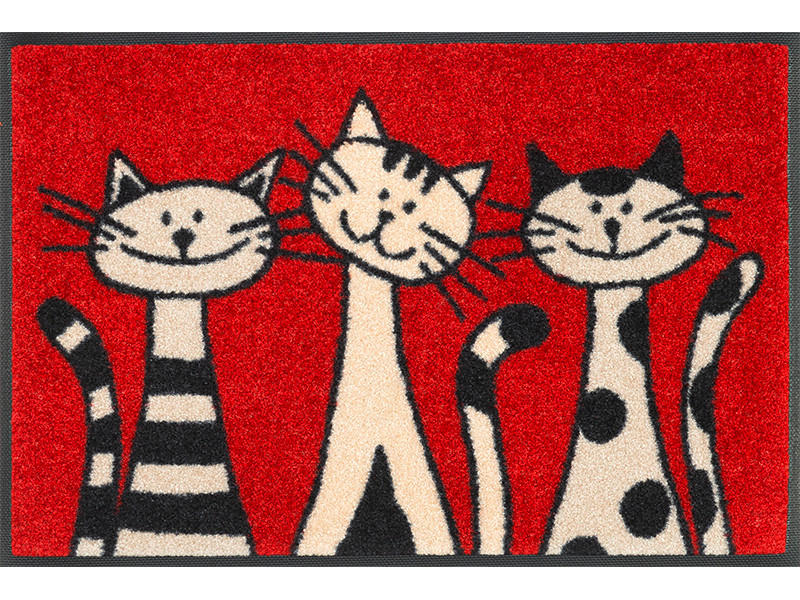 FUßMATTE  40/60 cm  Rot  - Rot, KONVENTIONELL, Kunststoff/Textil (40/60cm) - wash+dry