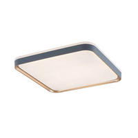 STROPNÍ LED SVÍTIDLO, 39,5/5/39,5 cm - Basics, kov/plast (39,5/5/39,5cm)