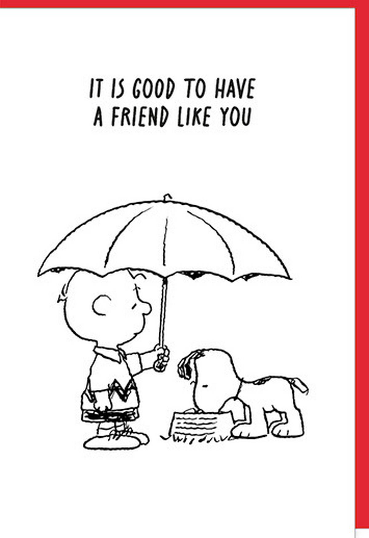 KLAPPKARTE   Multicolor  - Multicolor, Basics, Papier (11.5/17cm)