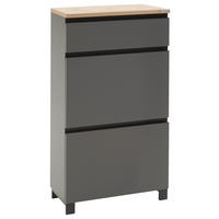 OMARA ZA ČEVLJE furnirano siva, barve hrasta - siva/barve hrasta, Design, kovina/leseni material (60/108/31cm) - Dieter Knoll