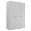 DREHTÜRENSCHRANK 151/235/60 cm 3-türig Grau  - Grau, Trend, Holz/Holzwerkstoff (151/235/60cm) - Novel