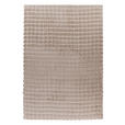 HOCHFLORTEPPICH 120/160 cm Hailey Beige  - Beige, Basics, Textil (120/160cm) - Novel