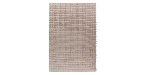 HOCHFLORTEPPICH 120/160 cm Hailey Beige  - Beige, Basics, Textil (120/160cm) - Novel