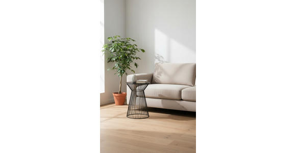 BEISTELLTISCH 33/33/47 cm Schwarz rund  - Schwarz, Trend, Metall (33/33/47cm) - Landscape
