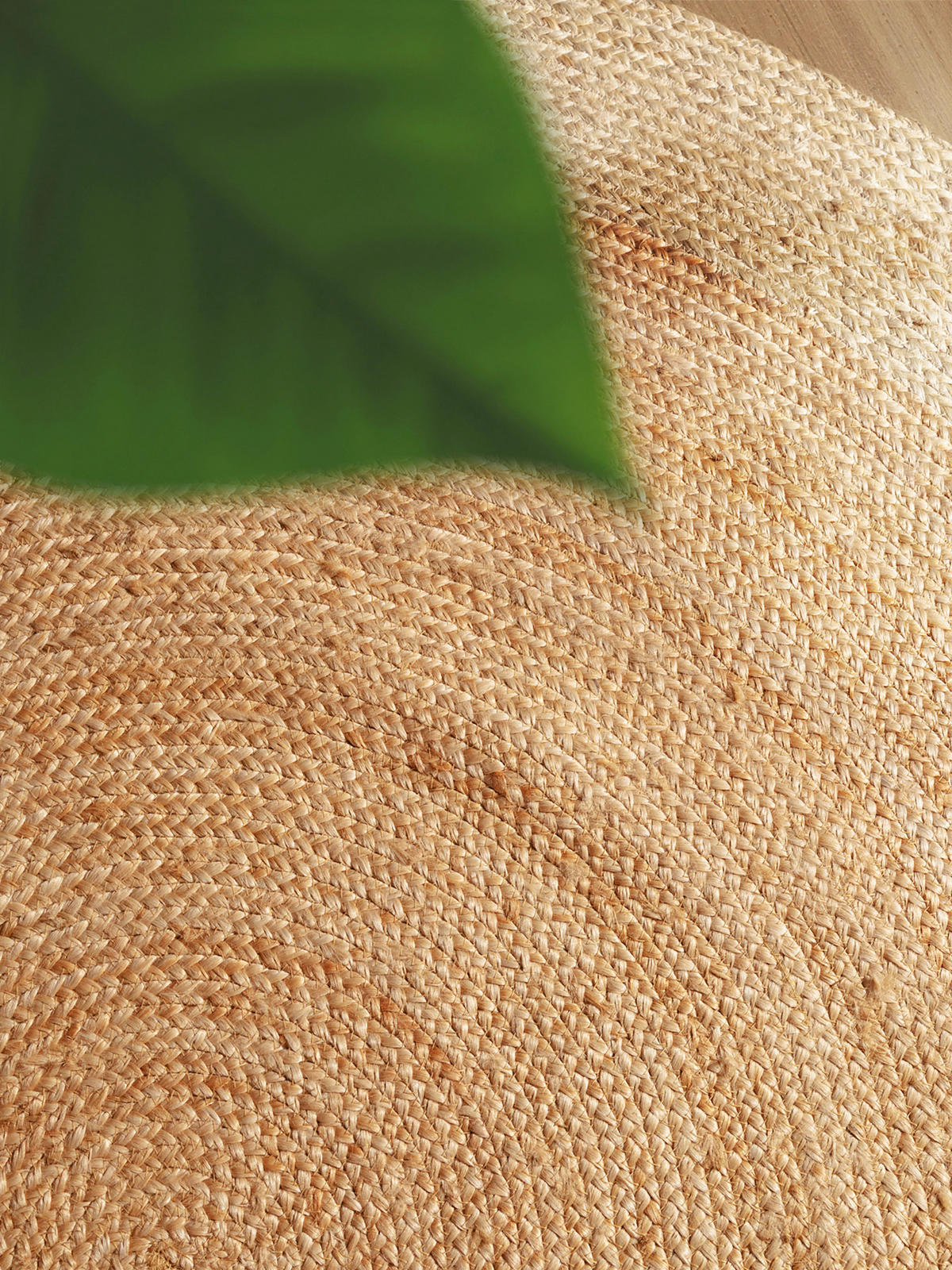 JUTETEPPICH 160 cm Jutta Creme, Goldfarben  - Goldfarben/Creme, Basics, Textil (160cm)