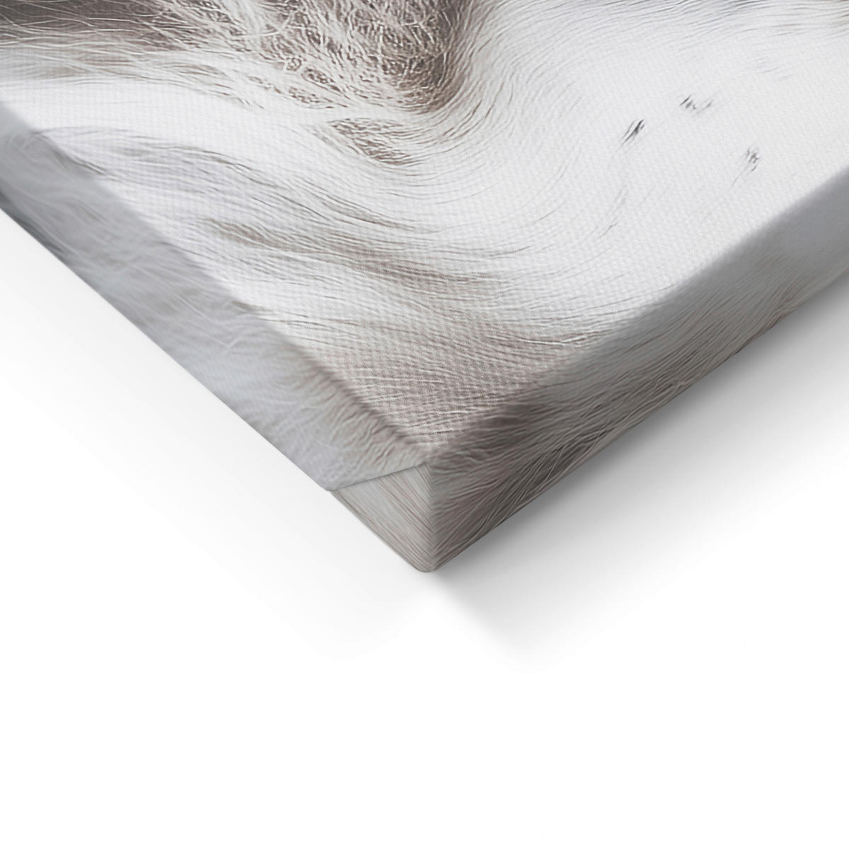 LEINWANDBILD Tiere 60/80 cm  - Schwarz/Weiß, Basics, Holz/Textil (60/80cm)