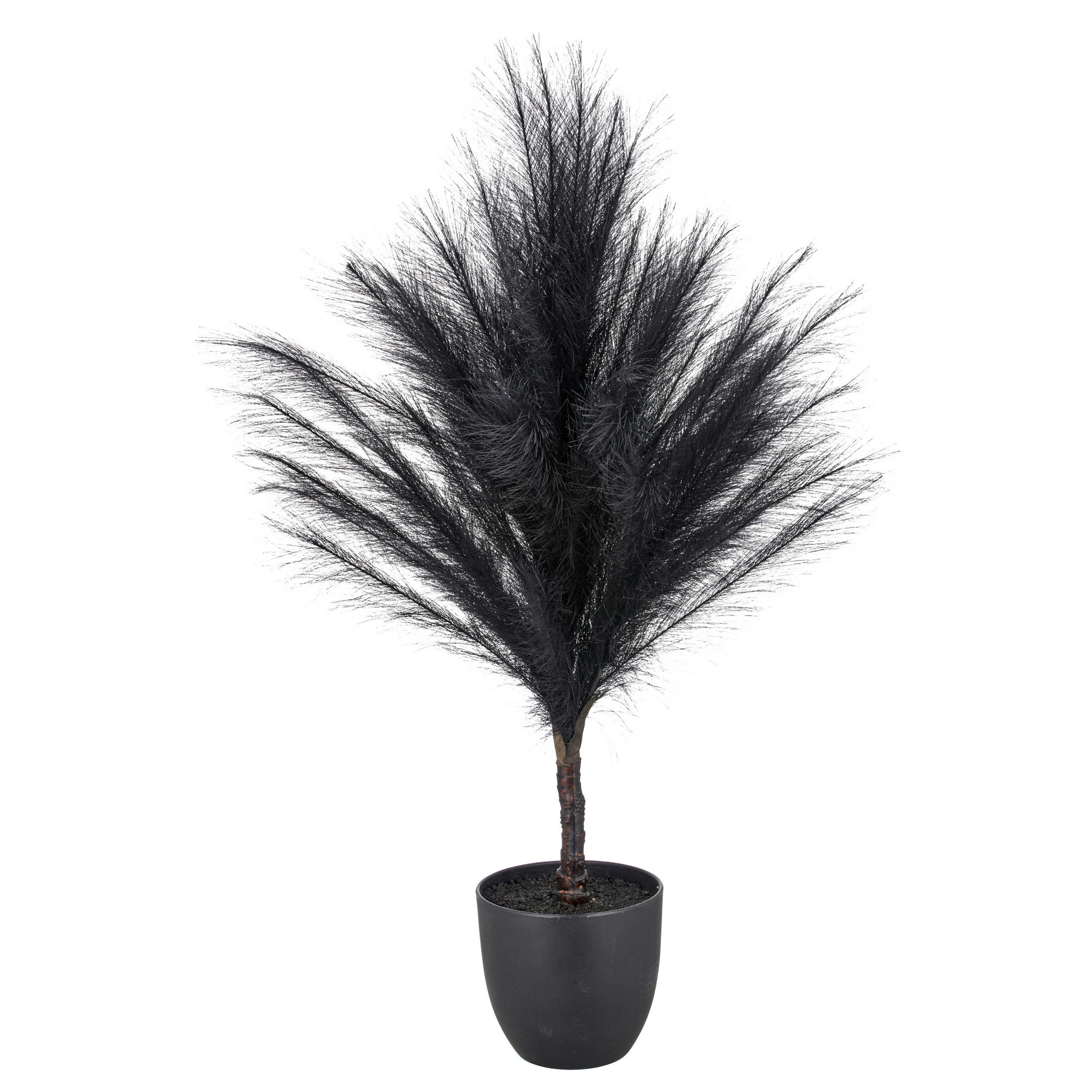 KUNSTPFLANZE 91 cm  - Schwarz, Design, Kunststoff (91cm) - Ambia Home