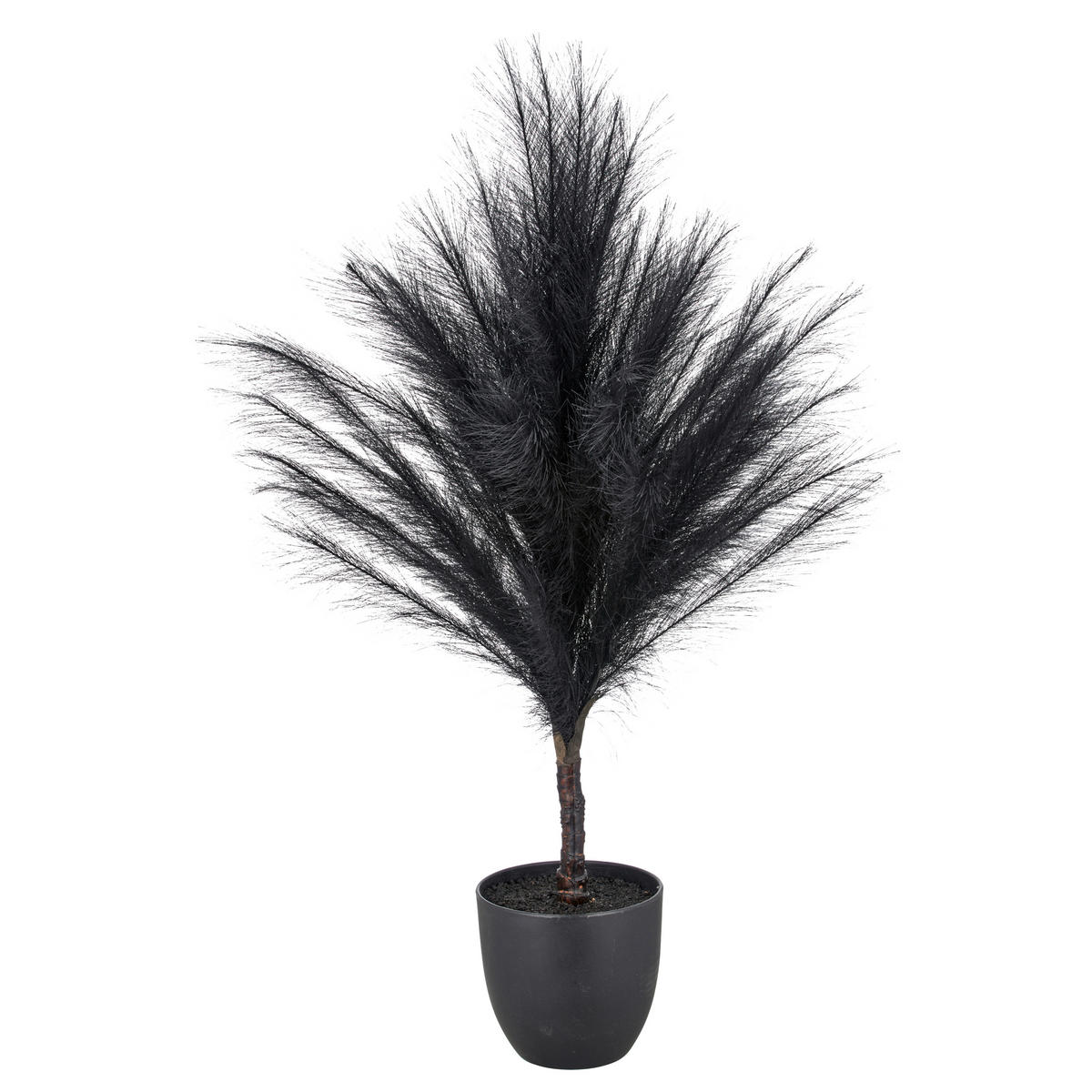 KUNSTPFLANZE 91 cm  - Schwarz, Design, Kunststoff (91cm) - Ambia Home