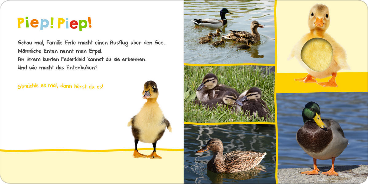 SOUNDBUCH - Basics (19,6/19,6cm)