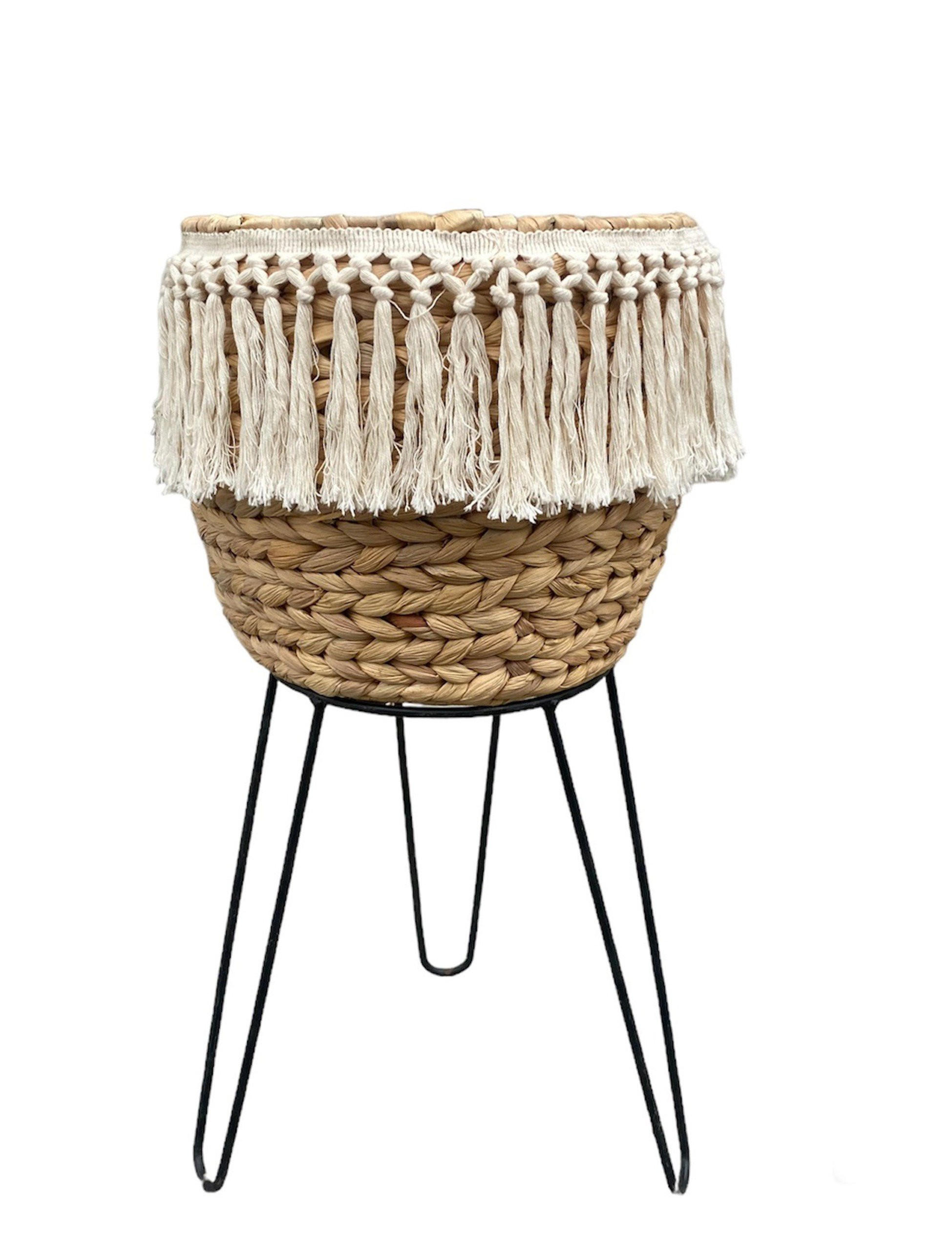 Pflanztopf Alcine Wasserhyzinthe Indoor Ø 26 cm