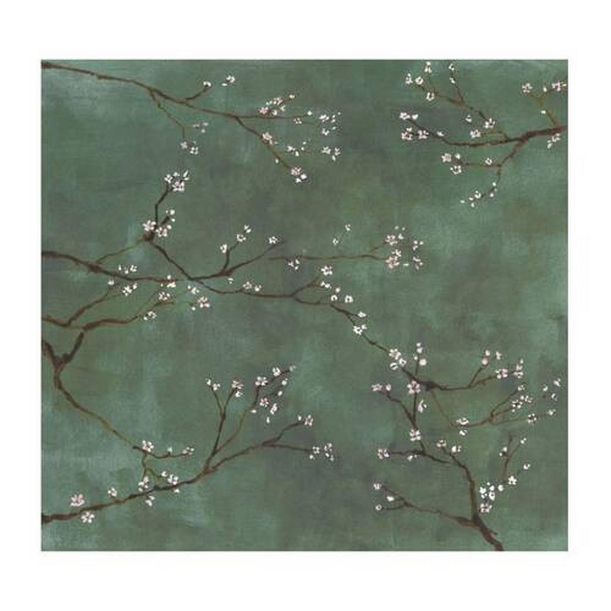 FOTOTAPET 300/280 cm  - grön, Basics, papper/plast (300/280cm)