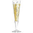 CHAMPAGNERGLAS - Basics, Glas (8/8/25cm) - Ritzenhoff CHAMPAGNERGLAS - Basics, Glas (8/8/25cm) - Ritzenhoff