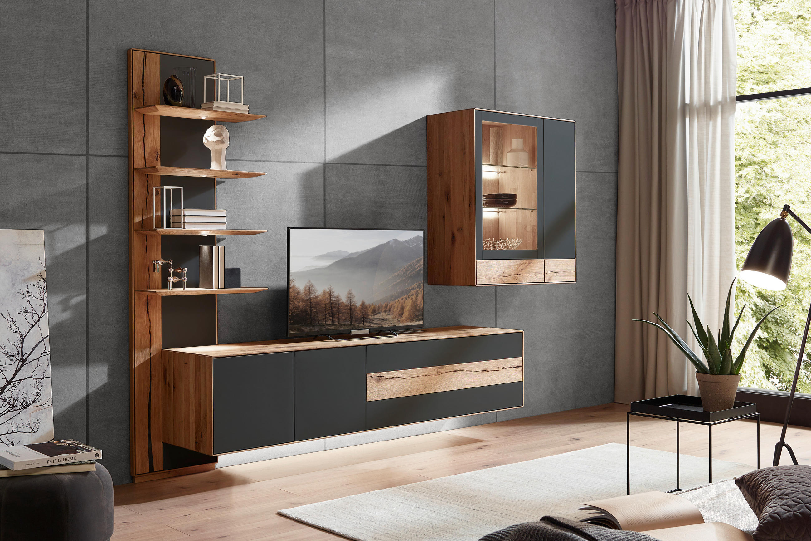 WOHNWAND  in Anthrazit, Eichefarben  297/206/48 cm  - Eichefarben/Anthrazit, Design, Glas/Holz (297/206/48cm) - Valnatura