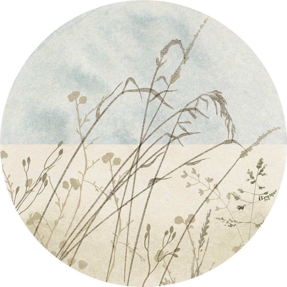 FOTOTAPETE  - Blau/Braun, Trend (125cm) - Xora