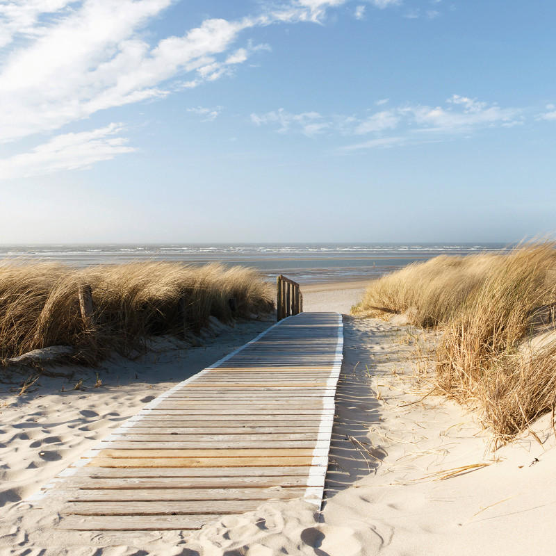 GLASBILD Strand & Meer  - Multicolor, KONVENTIONELL, Glas (20/20/1,40cm) - Euroart