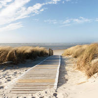 OBRAZ NA SKLE, pláž a moře, 20/20/1,40 cm - vícebarevná, Konvenční, sklo (20/20/1,40cm) - Euroart