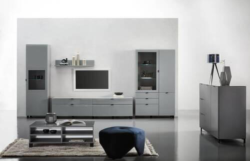 VITRINE in Grau, Hellgrau - Hellgrau/Schwarz, Design, Glas/Holzwerkstoff (60/203,5/41,5cm) - Hom`in