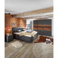 POLSTERBETT Matratze, gepolstertes Kopfteil, Lattenrost, Bettkasten, motorische Verstellbarkeit Anthrazit 200/200 cm  - Anthrazit/Silberfarben, KONVENTIONELL, Holz/Textil (200/200cm) - Esposa