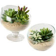DEKOSCHALE - Klar, Basics, Glas (12/10cm) - Ambia Home