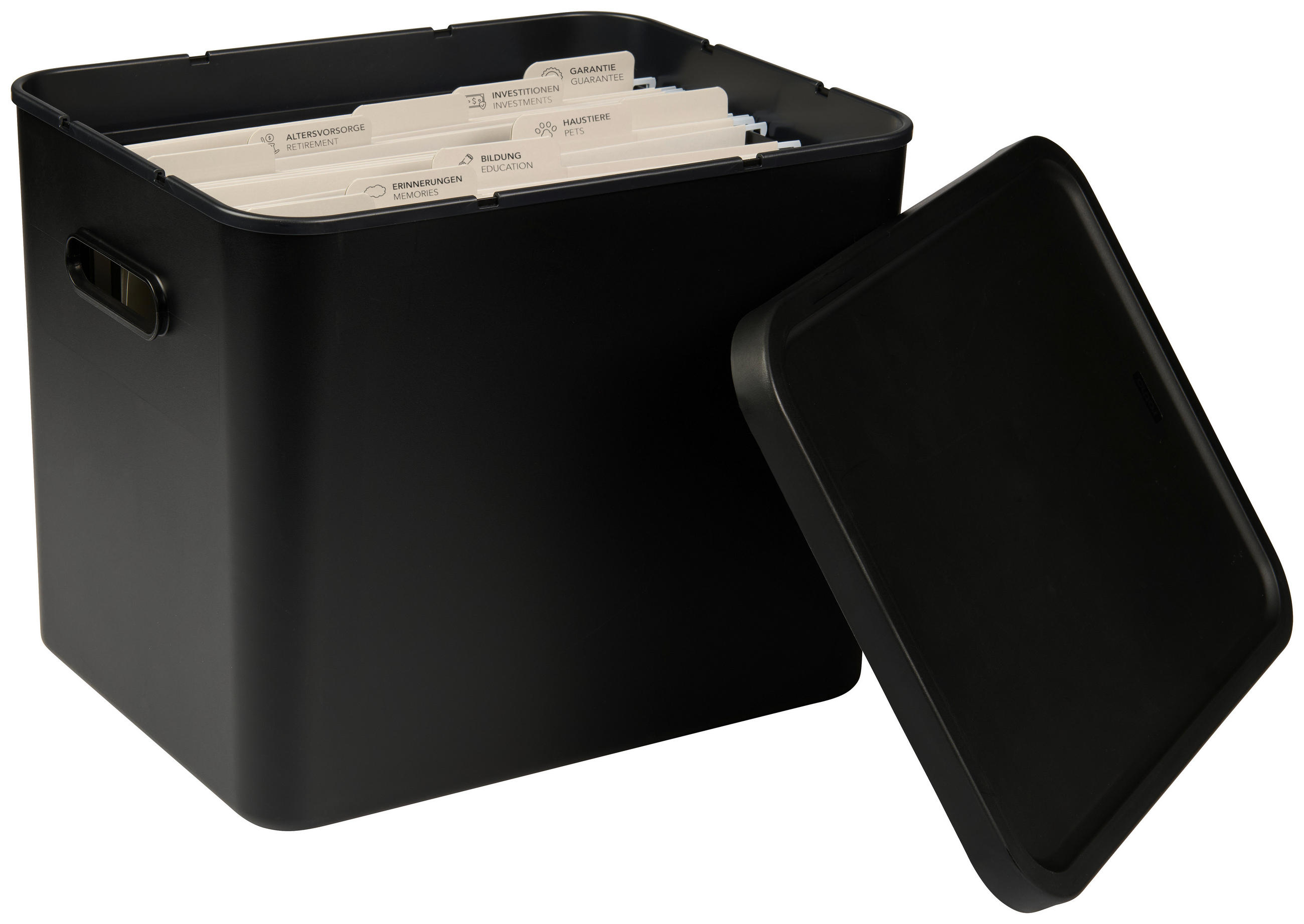 ORGANIZER  - Schwarz, KONVENTIONELL, Kunststoff (29/29,5/37cm) - Rotho