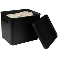 ORGANIZER  - Schwarz, KONVENTIONELL, Kunststoff (29/29,5/37cm) - Rotho