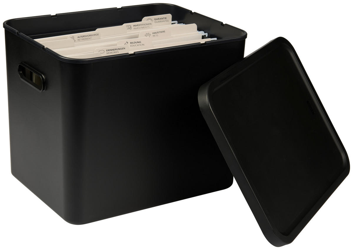 ORGANIZER  - Schwarz, KONVENTIONELL, Kunststoff (29/29,5/37cm) - Rotho