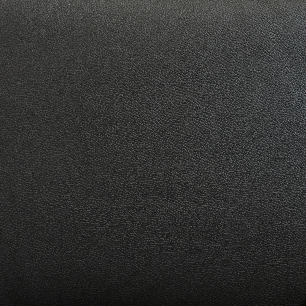 2-SITZER-SOFA Anthrazit Echtleder  - Anthrazit, Design, Leder/Metall (194/83-99/110cm) - Celina Home