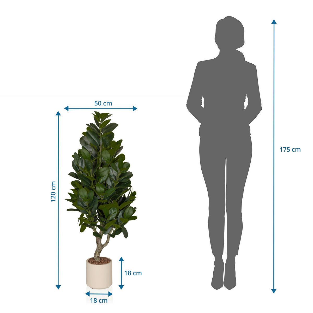 KUNSTPFLANZE  - Creme/Grün, MODERN, Kunststoff (50/120/50cm) - MID.YOU