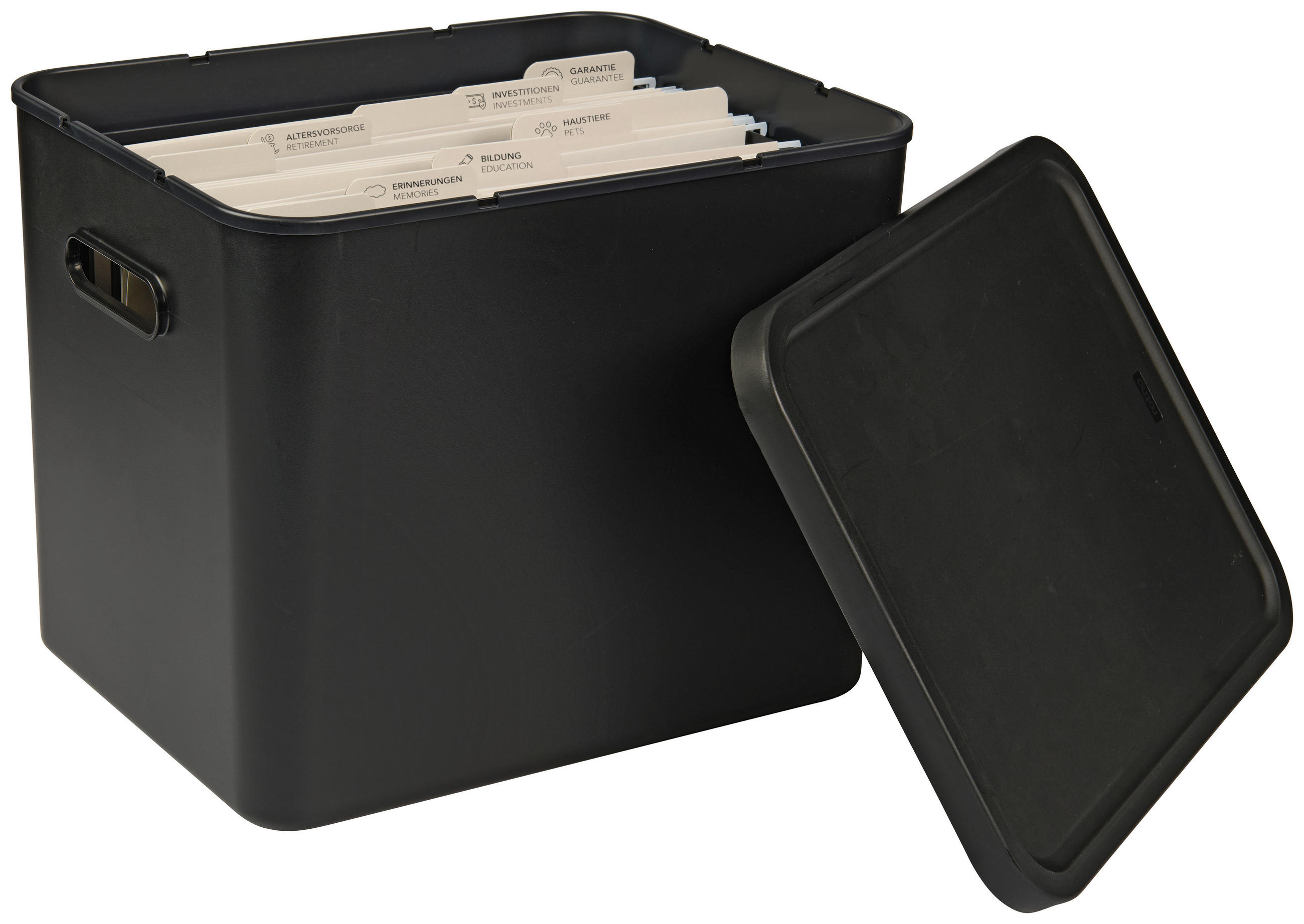 ORGANIZER  - Schwarz, KONVENTIONELL, Kunststoff (29/29,5/37cm) - Rotho