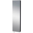 SCHUHSCHRANK 50/195/18 cm  - Anthrazit, Design, Glas/Holzwerkstoff (50/195/18cm) - Xora