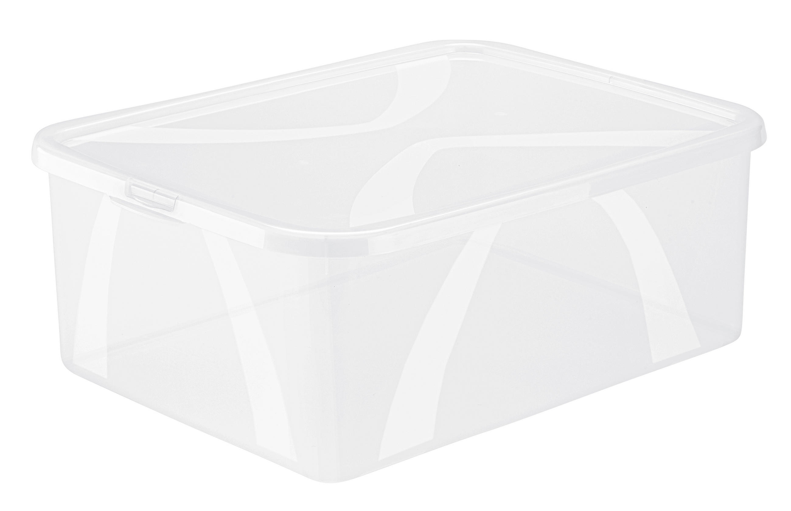 BOX MIT DECKEL    36,3/26,6/13,4 cm  - Transparent, KONVENTIONELL, Kunststoff (36,3/26,6/13,4cm) - Rotho