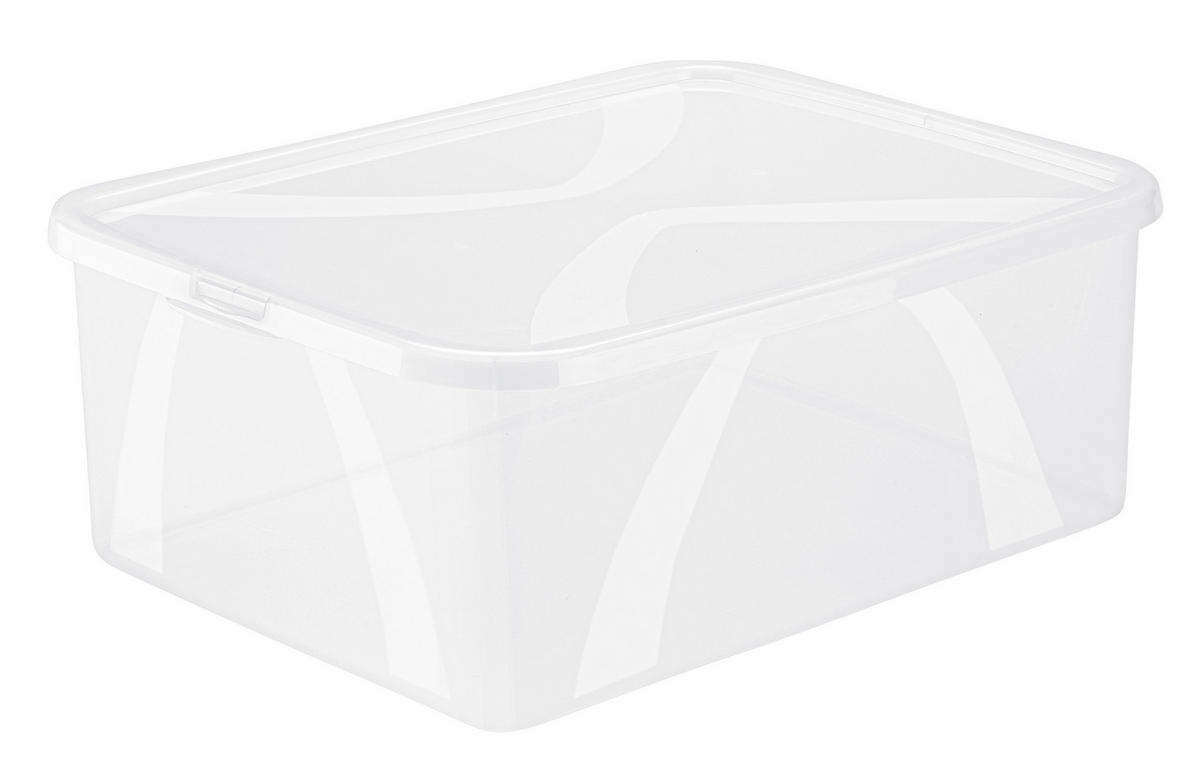 BOX MIT DECKEL    36,3/26,6/13,4 cm  - Transparent, KONVENTIONELL, Kunststoff (36,3/26,6/13,4cm) - Rotho