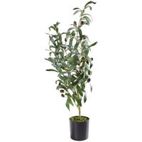 KONSTVÄXT oliv  - grön/brun, Basics, plast (25/70cm)