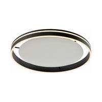 LED-DECKENLEUCHTE   - Anthrazit, Design, Kunststoff/Metall (59/8cm) - Paul Neuhaus