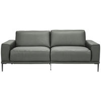 2,5-SITZER in Leder Grau  - Schwarz/Grau, Design, Leder/Metall (200/102/92cm) - Johann Jakob
