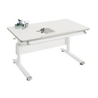 JUGENDSCHREIBTISCH 120/70/53-79 cm  - Weiß, Basics, Holzwerkstoff/Kunststoff (120/70/53-79cm) - Paidi