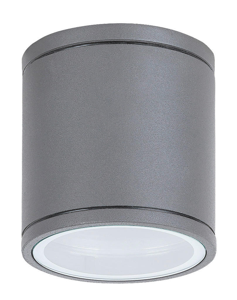 ZUNANJA STROPNA SVETILKA  Akron  9/9,2 cm           - antracit, Basics, kovina/steklo (9/9,2cm)