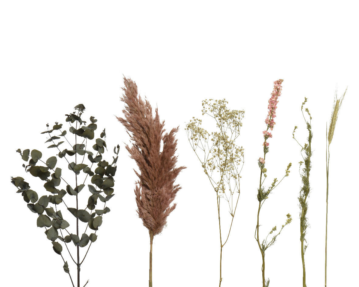 DIY-SET  - Hellrosa/Grün, LIFESTYLE, Naturmaterialien (20,00/20,00/60,00cm)