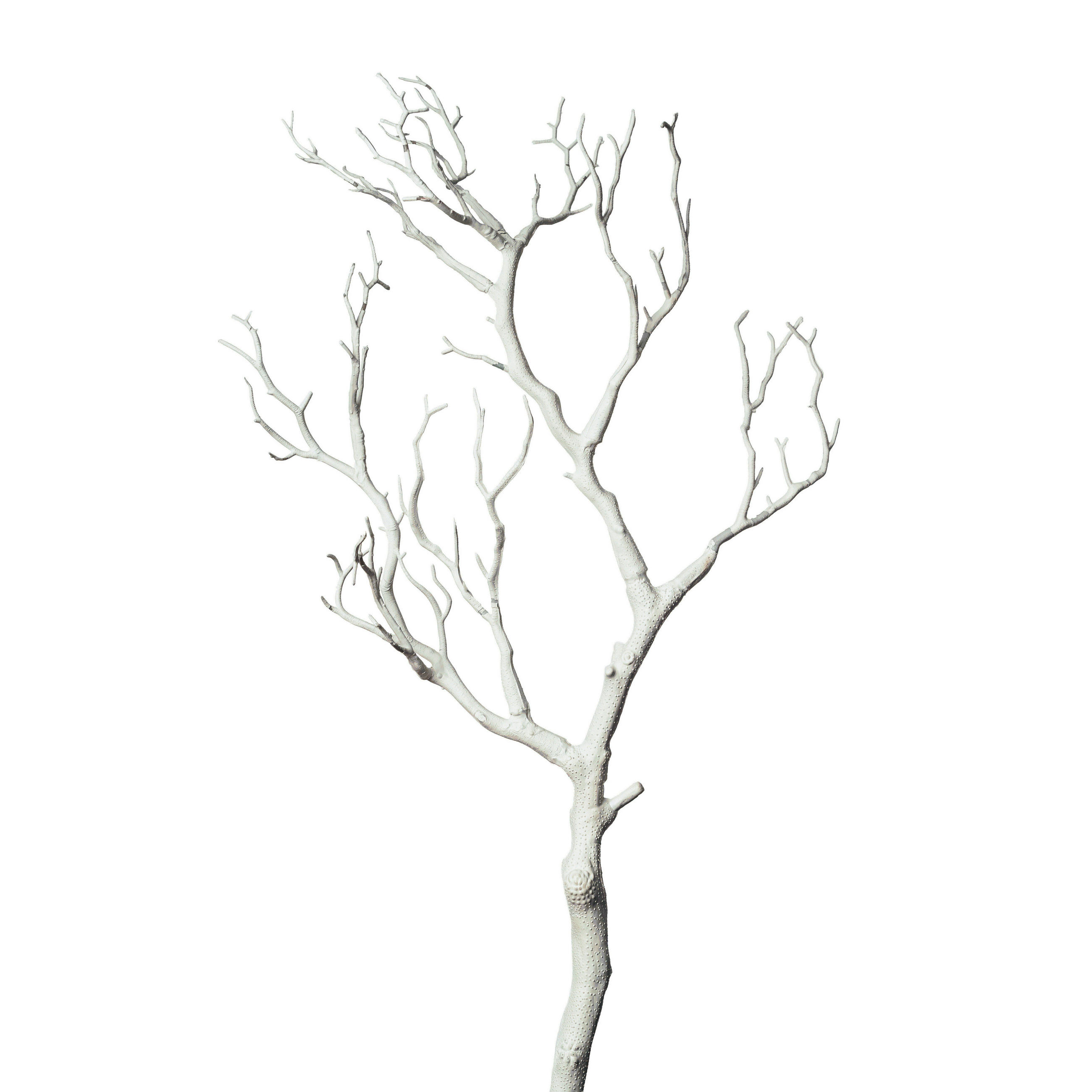 UMĚLÁ KVĚTINA 75 cm - bílá, Basics (75cm)